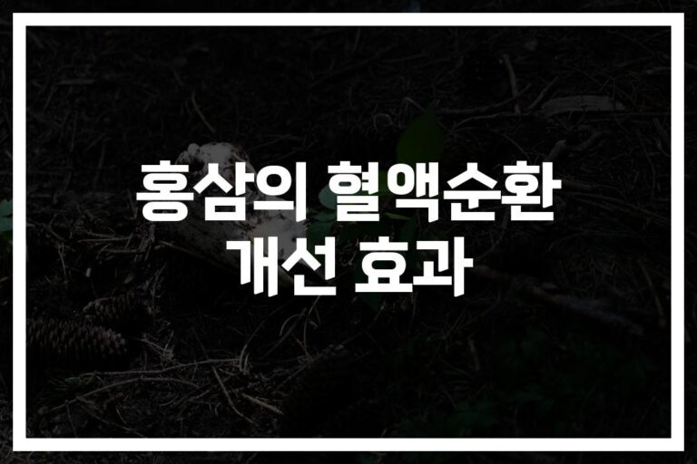 ‘혈압이 높다는 말에 놀라셨나요?’ 홍삼 혈행개선 효과 및 혈액순환 개선 방법