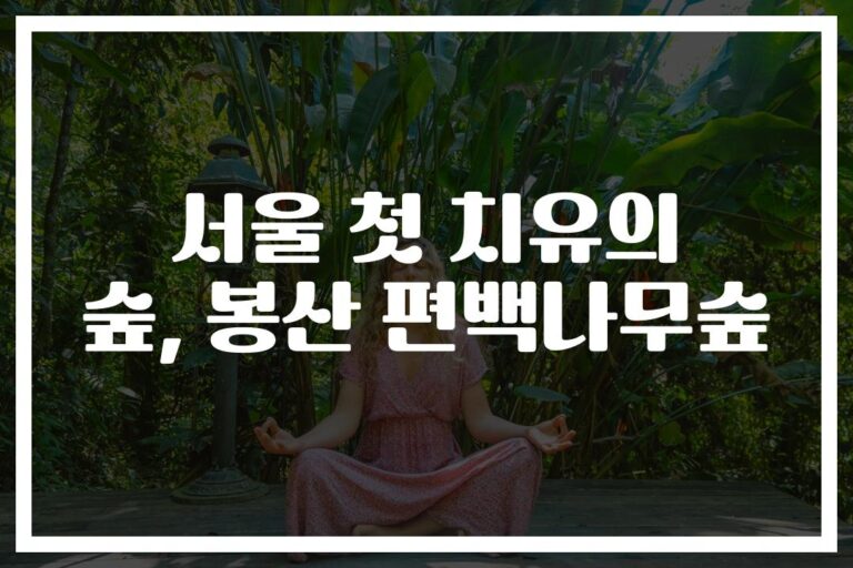 ‘도심 속 힐링 명소’ 봉산 편백나무 치유의 숲에서 피톤치드 한껏 느껴보세요