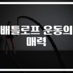 15분만 투자하세요… ‘배틀로프 운동효과 효과와 장점’ 제가 직접 체험해봤습니다