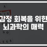 ‘스트레스 해소가 안 된다면?’ 감정과 뇌과학으로 이해하는 감정회복 방법