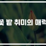 ‘마음이 쉬어가는 시간’… 편안함을 주는 꽃밭 취미 추천