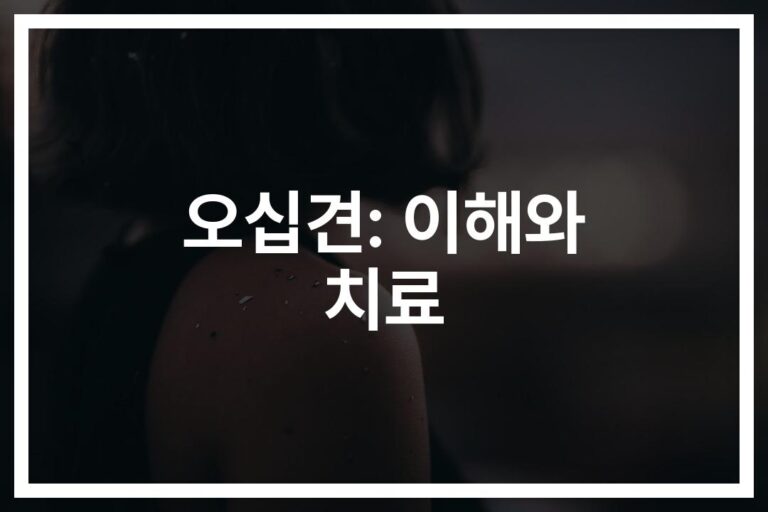 오십견 운동 방법, 벽에서 하는 운동법… ‘통증 없이’ 어깨 건강 되찾기