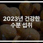 “물만 마시긴 심심하다” 2023 최고의 수분 보충 음료 추천