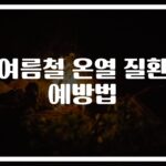 ‘이것만 알면 안전한 여름’…여름철 온열 질환 예방을 위한 건강 수칙