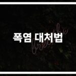 올여름 어르신 폭염 대처법… ‘이것만 알면’ 안전하게 보내는 폭염 시즌