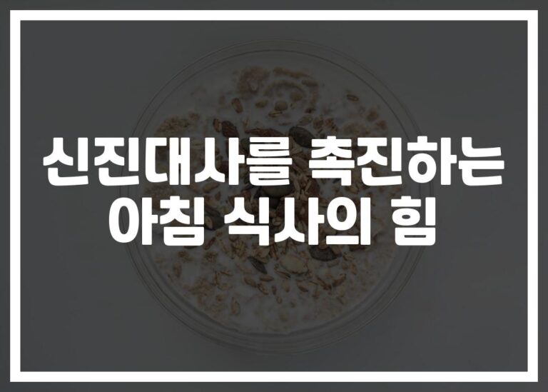 ‘아침부터 칼로리 활활’ 신진대사 촉진 아침 식사 레시피…전문가가 추천하는 3가지