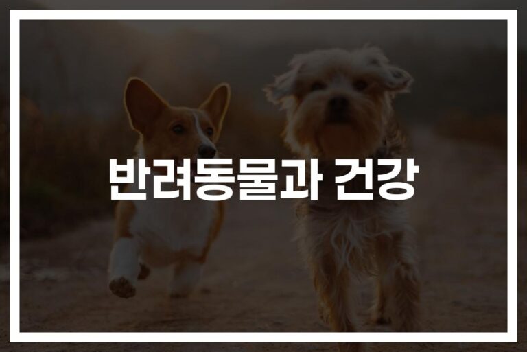 ‘하루 30분 산책으로 심장병 위험 31% 감소’… 반려동물이 사람의 건강에 미치는 영향