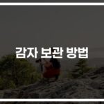 장기보관을 위한 감자 보관 방법… ‘이것만 피하면’ 한 달은 거뜬