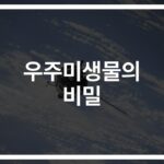 ‘우주인들의 생명줄’ 우주에서 미생물 우주빵의 역할과 활용… 놀라운 비밀