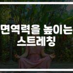 아침 15분이면 충분해요… ‘면역력 높이는 스트레칭’ 효과 입증