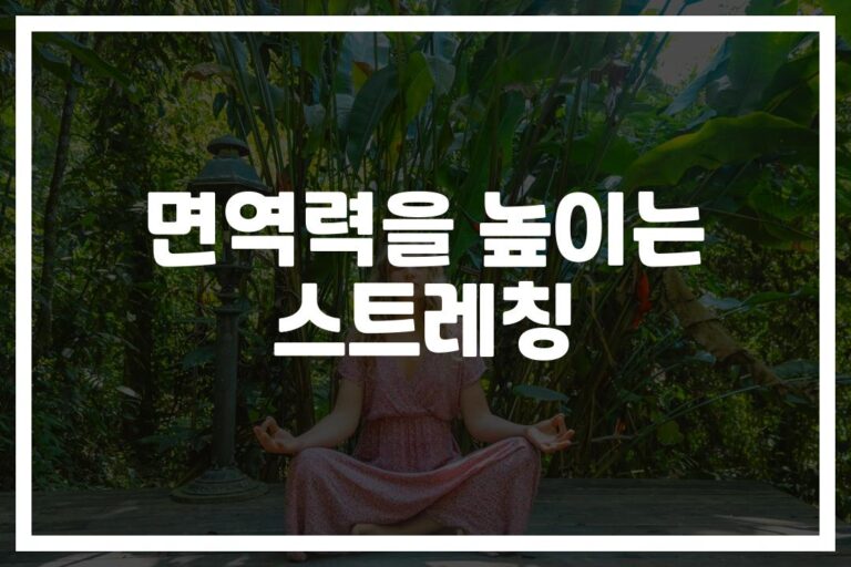 아침 15분이면 충분해요… ‘면역력 높이는 스트레칭’ 효과 입증