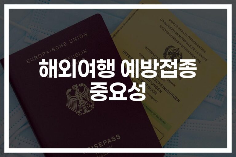해외여행 감염 예방접종 권장 사항… ‘이것만 알면 든든하게 여행 갑니다’