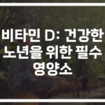 건강한 노년을 위한 ‘비타민D 노화방지 영양제 추천’… 당신의 선택은?