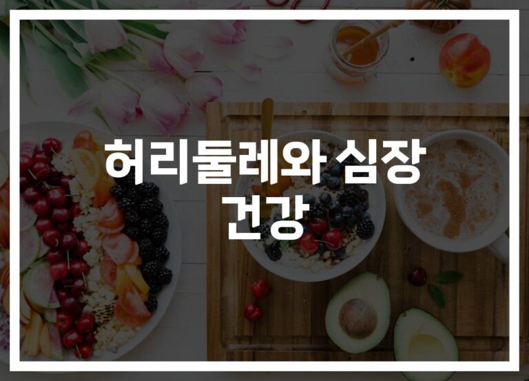 허리둘레와 심부전 위험성… ‘2.5cm 늘 때마다’ 충격적인 결과