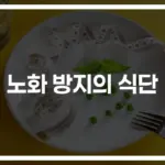 ‘이것만 챙겨 먹어도 젊음이 돌아온다’…노화방지에 좋은 음식 9가지