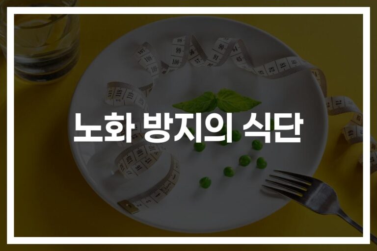 ‘이것만 챙겨 먹어도 젊음이 돌아온다’…노화방지에 좋은 음식 9가지
