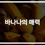 하루 2개면 충분해요… ‘바나나 효능 부작용’ 제대로 알고 먹자