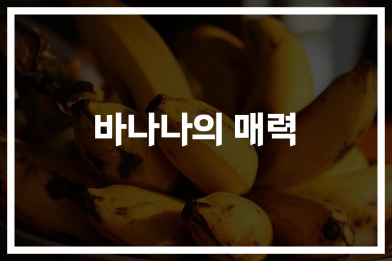 하루 2개면 충분해요… ‘바나나 효능 부작용’ 제대로 알고 먹자