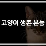 고양이 생존 본능과 전략… ‘더 강하게, 더 똑똑하게’ 살아남는 비밀