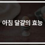 ‘아침 달걀 효능과 건강에 미치는 긍정적인 영향’… 단백질부터 뇌 건강까지 챙기는 건강한 아침
