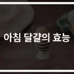 ‘아침 달걀 효능과 건강에 미치는 긍정적인 영향’… 단백질부터 뇌 건강까지 챙기는 건강한 아침