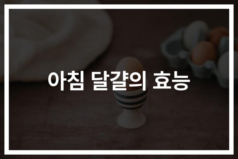‘아침 달걀 효능과 건강에 미치는 긍정적인 영향’… 단백질부터 뇌 건강까지 챙기는 건강한 아침