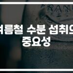 ‘물 그냥 마시면 안 된다고?’ 여름철 효과적인 수분섭취 방법