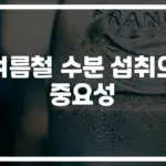 ‘물 그냥 마시면 안 된다고?’ 여름철 효과적인 수분섭취 방법
