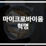 ‘AI가 주목한 미생물 혁명’… 마이크로바이옴 연구 동향 및 최신 방법