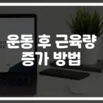 운동 후 근육량 증가 방법, ‘이것’ 하나만 제대로 해도 달라진다