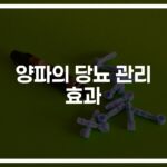 당뇨 양파 요리와 혈당 관리 방법… ‘이렇게 먹으면’ 효과 2배
