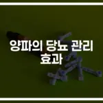 당뇨 양파 요리와 혈당 관리 방법… ‘이렇게 먹으면’ 효과 2배