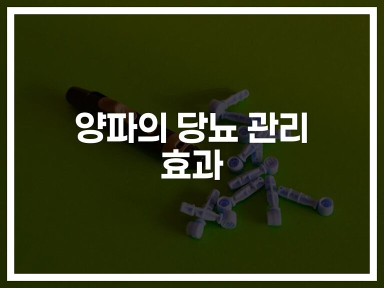 당뇨 양파 요리와 혈당 관리 방법… ‘이렇게 먹으면’ 효과 2배