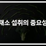‘하루 400g이 기준’… 건강한 채소 섭취 권장량 및 요리법