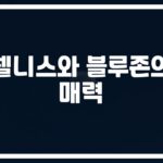 ‘100세 장수의 비밀’… 웰니스 블루존 운동 효과와 방법