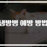 ‘실내외 온도차 5도만 지켜도 OK’… 냉방병 예방방법과 수칙