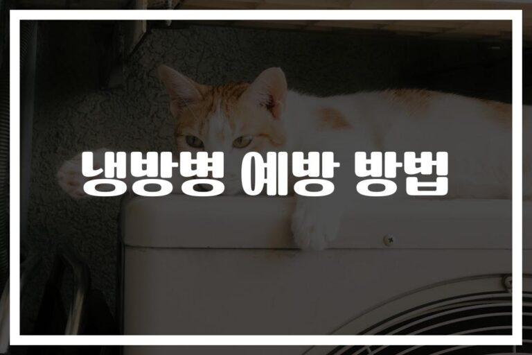 ‘실내외 온도차 5도만 지켜도 OK’… 냉방병 예방방법과 수칙