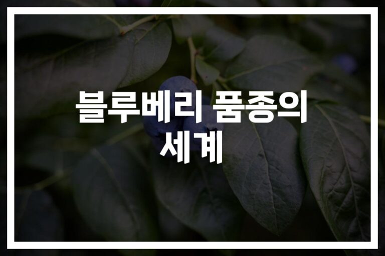 ‘북부부터 남부까지’… 블루베리 품종별 수확시기 및 특성 완벽 정리