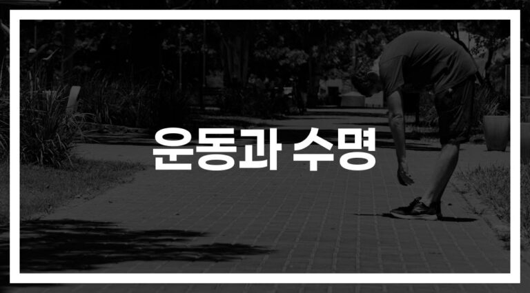 하루 30분이면 충분해요… ‘운동과 수명의 상관관계’ 최신 연구 결과