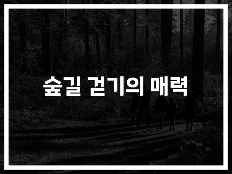 ‘하루 30분 숲길에서 찾은 항산화 건강’… 중년들 사이에서 난리난 이유