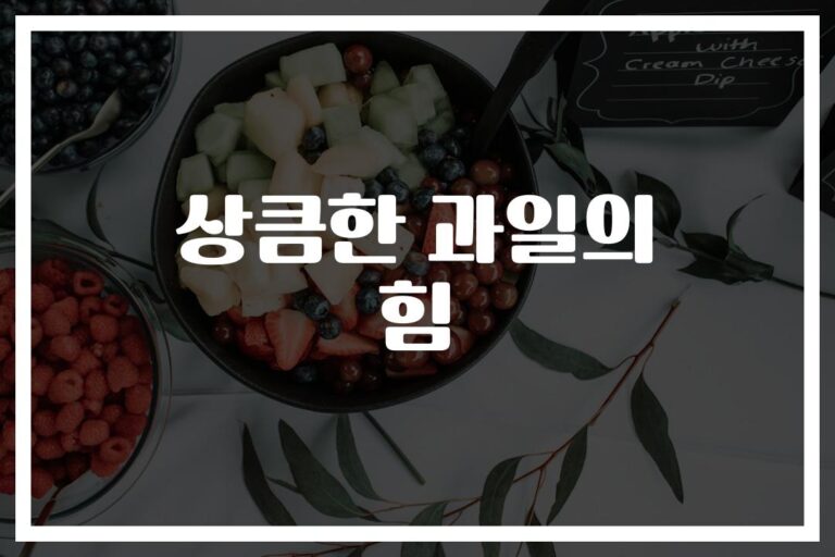 아침 과일 추천 건강 효능… ‘이것만 먹어도’ 하루가 달라진다