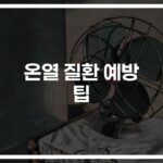 ‘물 한잔의 기적’…온열 질환 예방을 위한 효과적인 팁