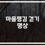 스트레스에 지친 당신… ‘마음챙김 걷기명상’ 효과 직접 체험해보니