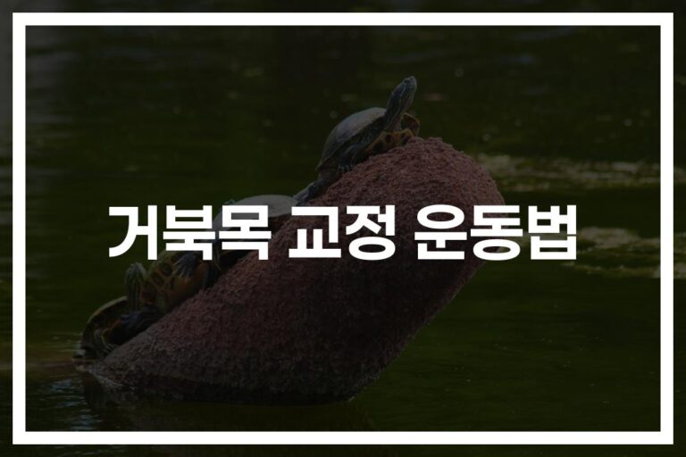 하루 10분 ‘거북목 교정 운동법’… 목 통증·두통까지 해결