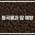 ‘하루 25g만 섭취해도’… 통곡물 암 예방법과 건강 이점