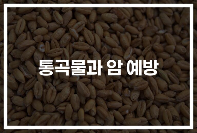 ‘하루 25g만 섭취해도’… 통곡물 암 예방법과 건강 이점