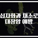 ‘브로콜리·양배추로 건강 지키기’… 십자화과 대장암 예방 효과와 대장암 예방 방법