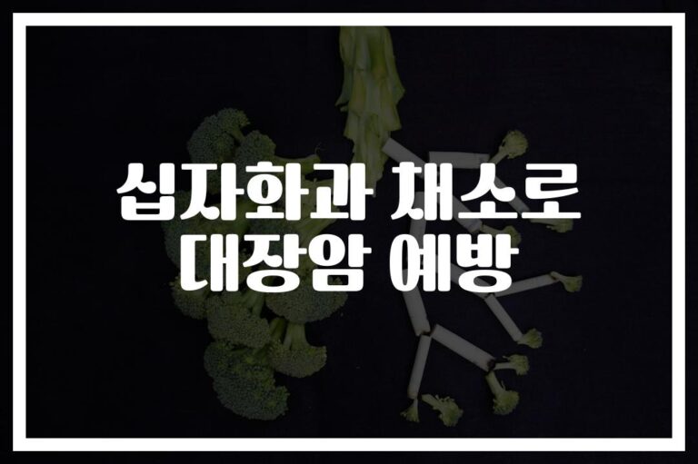 ‘브로콜리·양배추로 건강 지키기’… 십자화과 대장암 예방 효과와 대장암 예방 방법