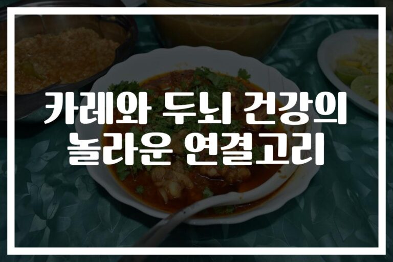 ‘치매 예방에도 좋다고?’ 카레와 두뇌 건강에 숨겨진 놀라운 비밀
