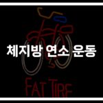 체지방 태우는 헬스 운동 방법… ‘이것만 알면’ 운동이 즐거워진다